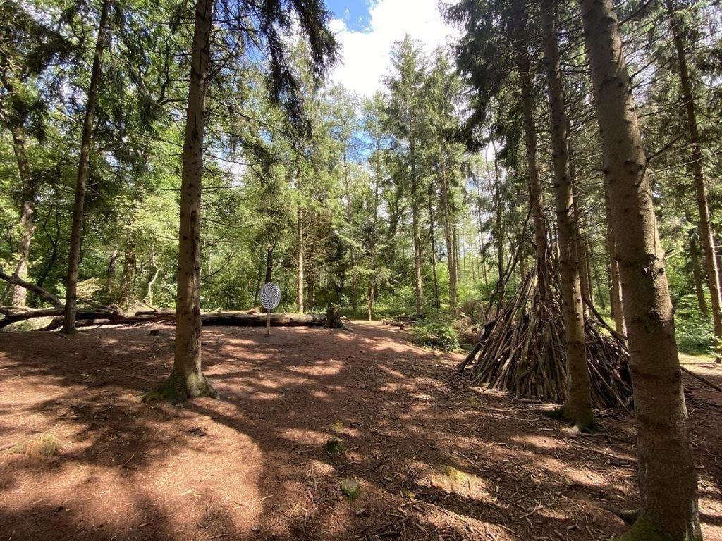Ferienhaus Seestern Am Harkebruegger See Mit Sauna Und Kamin Barssel  Luaran gambar